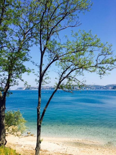 Apartment Umag Nelly المظهر الخارجي الصورة