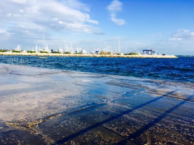 Apartment Umag Nelly المظهر الخارجي الصورة
